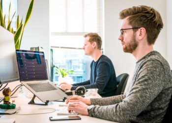 Professionnel de l'informatique examinant un programme de sauvegarde sur un ordinateur portable